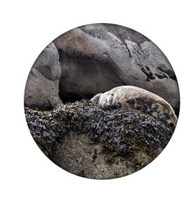 location saisonnière le Guilvinec, Bretagne Finistère 29