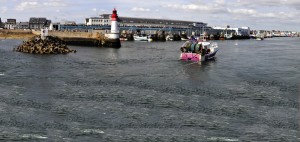 location saisonnière le Guilvinec, Bretagne Finistère 29